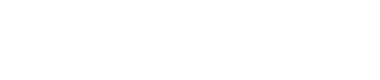 Sogefi group